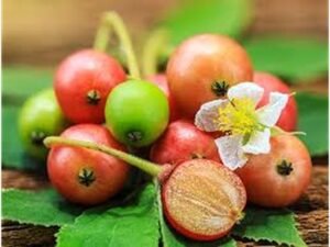 Buah Kersen: Senjata Rahasia Alam Melawan Penyakit Kronis dan Penuaan Dini!